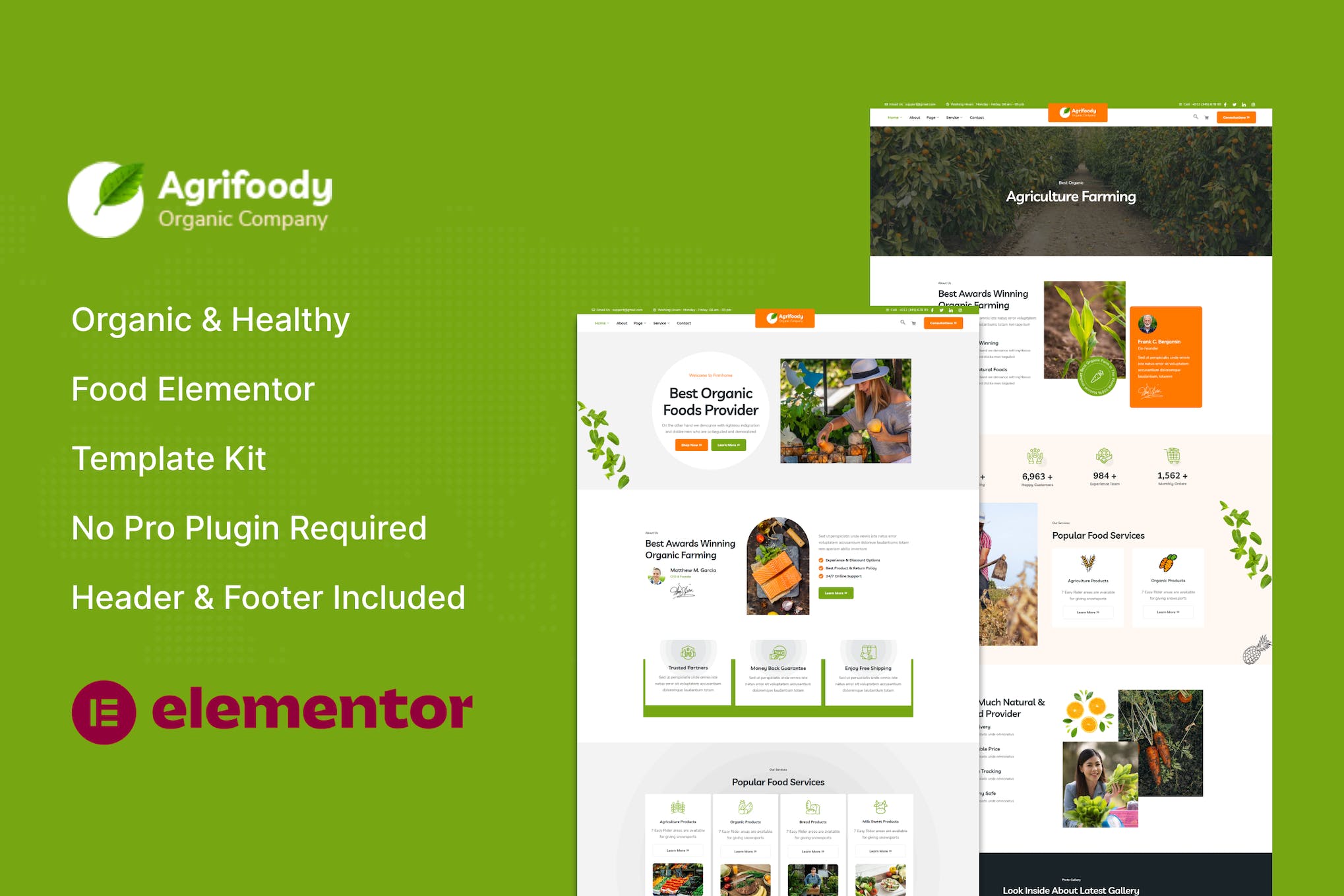 Agrifoody - Organic & Healthy Food Elementor Template Kit